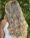 Escova e Babyliss no Alto Ipiranga, Mogi das Cruzes – Gloss Hair