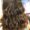 Morena Iluminada no Alto Ipiranga - Gloss Hair Therapy