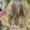Retoque de Raiz no Alto Ipiranga, Mogi das Cruzes - Gloss Hair