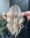 Retoque de Raiz no Alto Ipiranga, Mogi das Cruzes - Gloss Hair